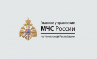 Профилактические противопожарные мероприятия пройдут в лесах Чечни