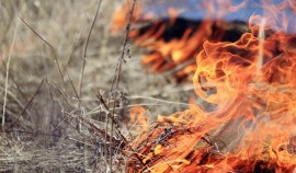 Минприроды ЧР предупреждает: будьте осторожны с огнем в пожароопасный сезон