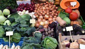 Развитие сельского хозяйства принято как приоритетное направление