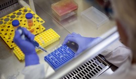 В Чеченской Республике за сутки выявили 59 случаев коронавируса