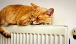 Городские службы контролируют подачу тепла в многоквратирных домах