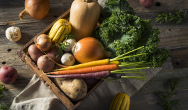 Россельхознадзор выявил 30 нарушений при ввозе в ЧР продукции растительного происхождения