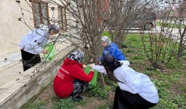 Чеченские молодогвардейцы и активисты «Волонтерской Роты» организовали субботник