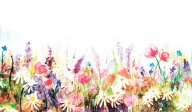 Мастер-класс по фотографии в Ачхой-Мартане: Искусство запечатления мгновений