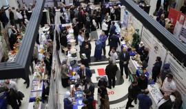 В Грозном прошёл региональный этап Всероссийской ярмарки трудоустройства