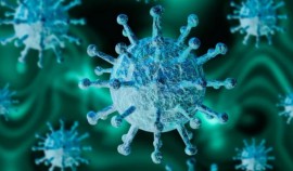 Недостаток в организме витамина D может стать причиной более тяжелого течения COVID-19