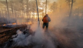 В России продолжают тушить 416 очагов природных пожаров