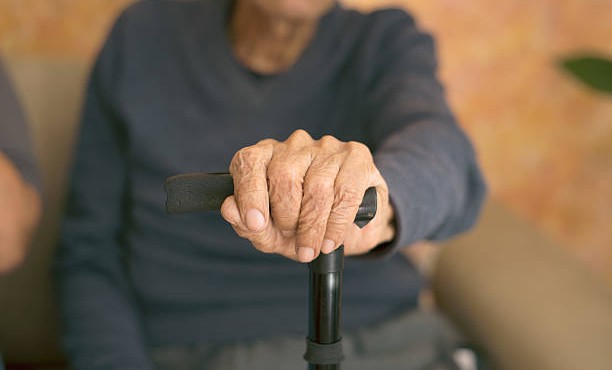 Более 1000 пенсионеров Чеченской Республики прошли уроки цифровой грамотности в 2025 году