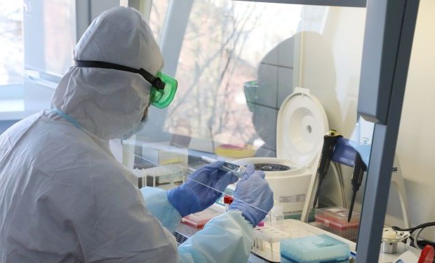 Роспотребнадзор заявил о формировании двух новых вариантов коронавируса в России