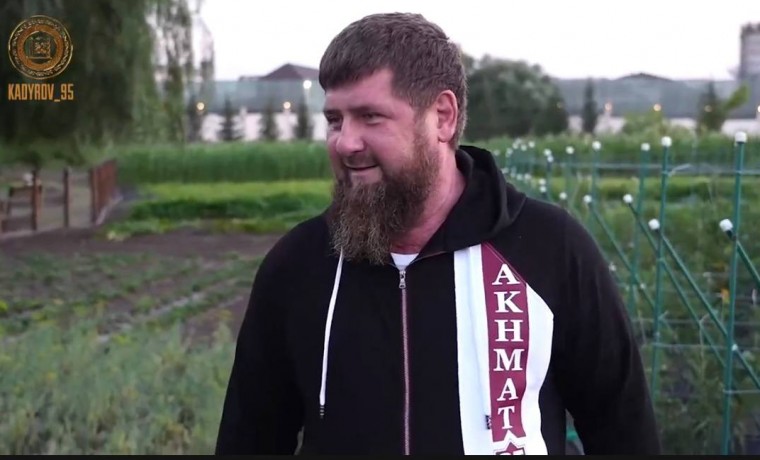 Рамзан Кадыров организовал масштабный сбор урожая