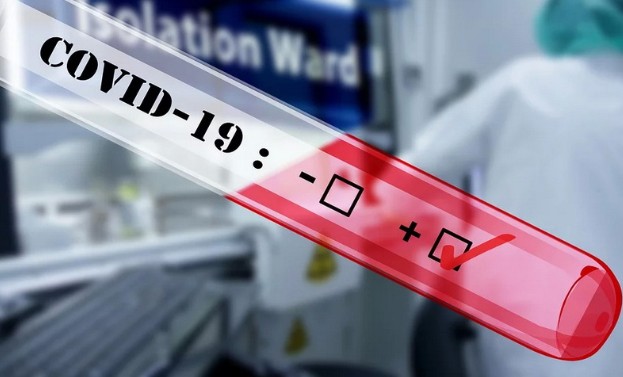 В Чеченской Республике за сутки выявили 22 случая коронавируса