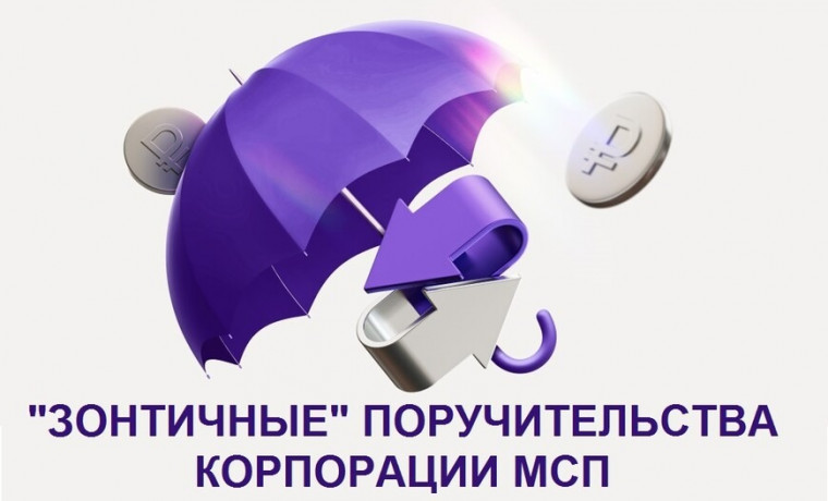 Чеченская Республика лидирует по росту кредитования малого бизнеса с поддержкой Корпорации МСП