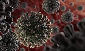 В ЧР выявлено 6 случаев заражения коронавирусом