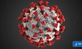 В ЧР выявлено 4 случая заражения коронавирусом