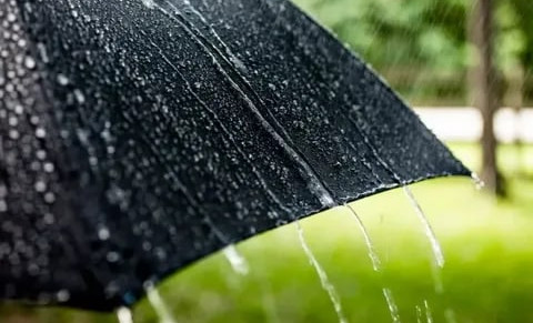 В отдельных районах ЧР ожидаются сильные дожди