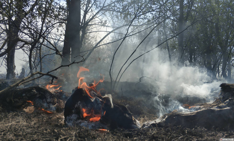 За сутки в России потушили 33 природных пожара