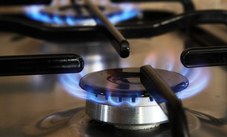 Совфед предлагает наказывать за недопуск газовиков в квартиры