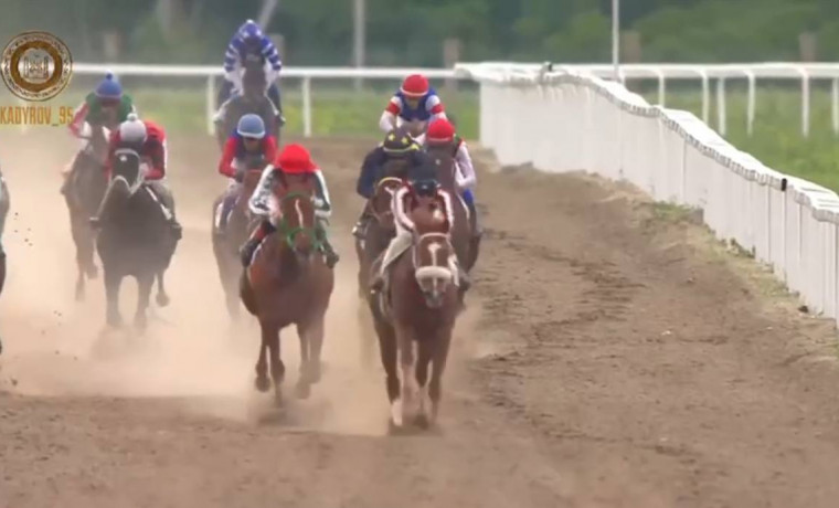 На Грозненском ипподроме им. Сайд-Хусейна Закаева прошли скачки 
