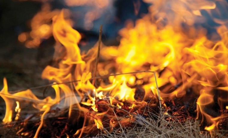 В Надтеречном и Курчалоевском районах ЧР сохранится высокая пожароопасность