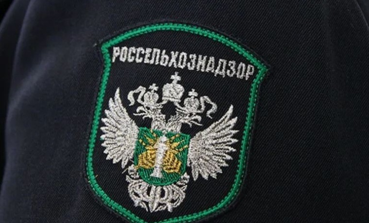 Более 180 нарушений выявлено при мониторинге «Меркурия» в Чеченской Республике