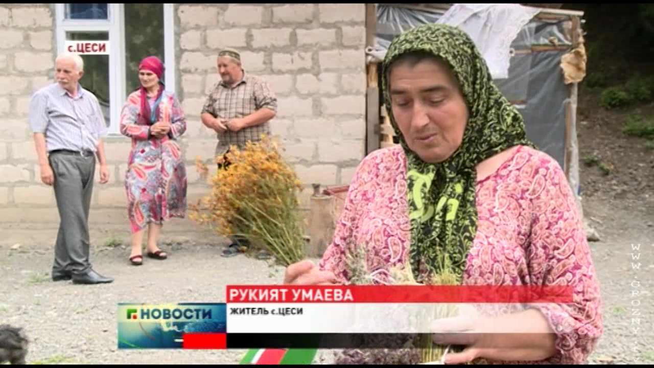 Целебные травы и растения горного села Цеси