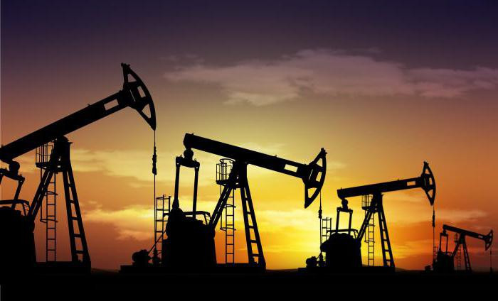 Поиски новых запасов нефти начнут в Чеченской Республике