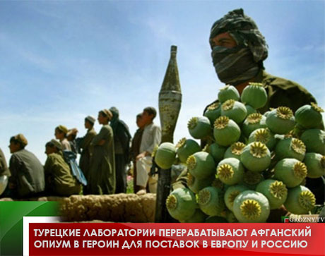Турецкие лаборатории перерабатывают афганский опиум в героин для поставок в Европу и Россию