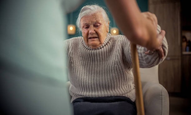 В РФ стартовала образовательная программа для людей, работающих с пожилыми