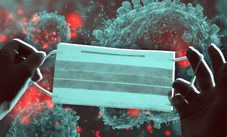 В России обнаружили подвид 