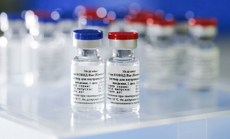 Вакцина от коронавируса "Спутник V" вошла в пятерку самых упоминаемых в зарубежных СМИ