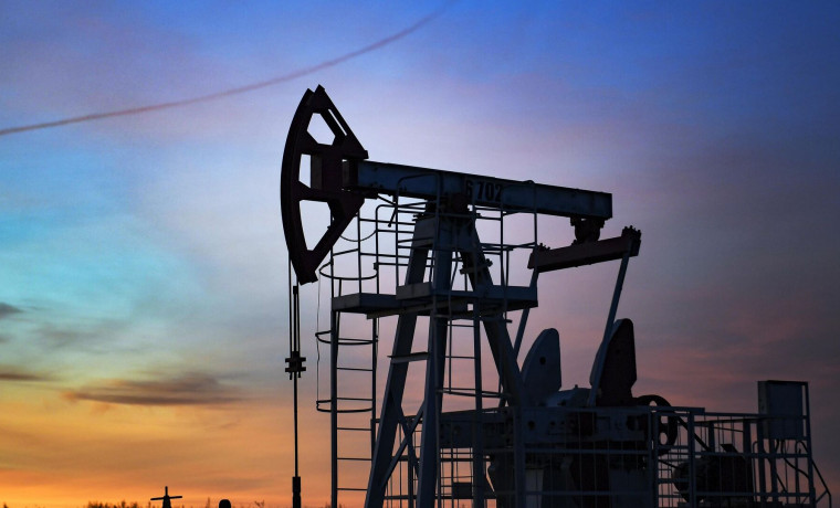 Россия в мае стала вторым крупнейшим поставщиком нефти в Индию