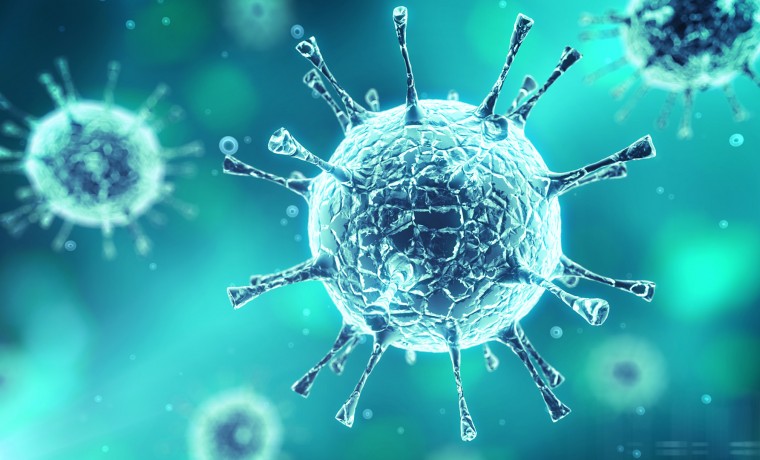 В ЧР за сутки выявлено 6 случаев заражения коронавирусом