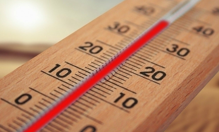 Жара до +37°С ждет жителей Чеченской Республики