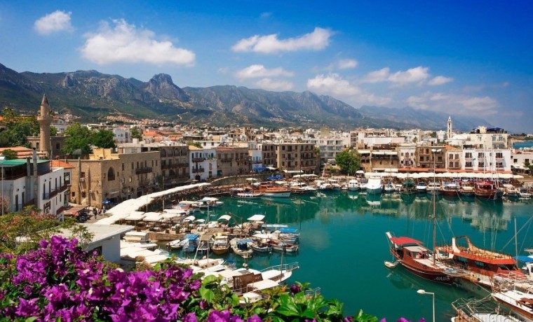 Первый случай оспы обезьян выявили на Кипре