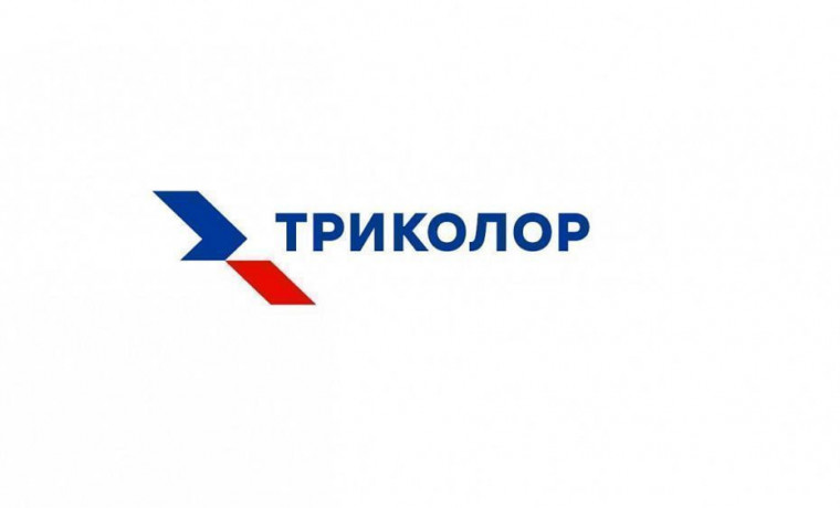 В три раза больше кино: «Триколор» провел 153 летних кинопоказа
