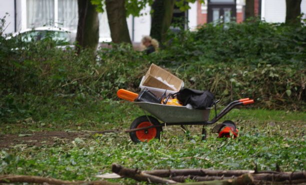 В Гудермесском районе Чеченской Республики начнутся работы по благоустройству зон отдыха