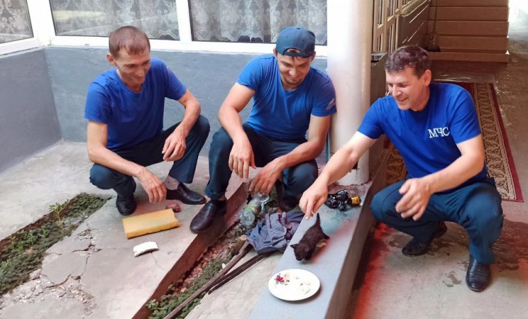 Чеченские пожарные спасли котенка, упавшего в трубу