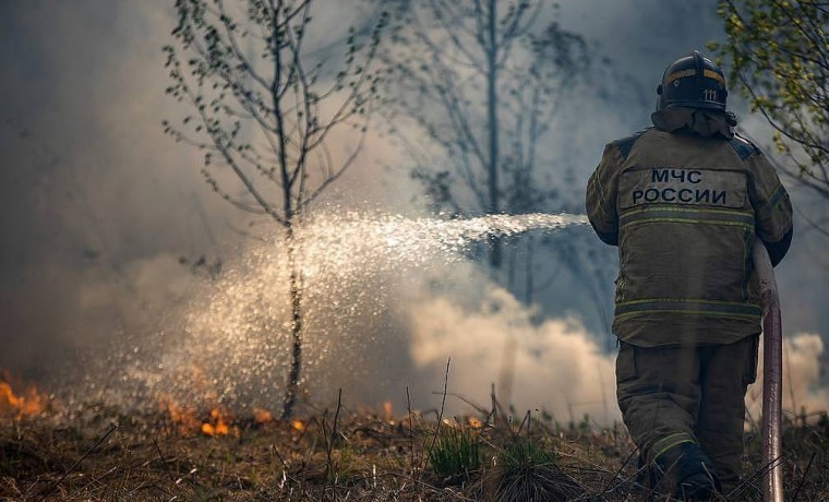 Площадь лесных пожаров в России за сутки выросла на 45%