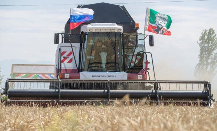 В Чеченской Республике собран рекордный урожай зерна