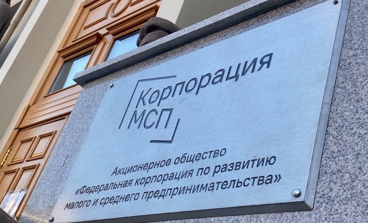 Свыше 6 млрд рублей кредитов сможет получит малый бизнес Северного Кавказа в 2025 году
