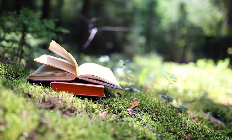 В Алхан-Калинской библиотеке открылась книжная выставка, посвященная семейным ценностям