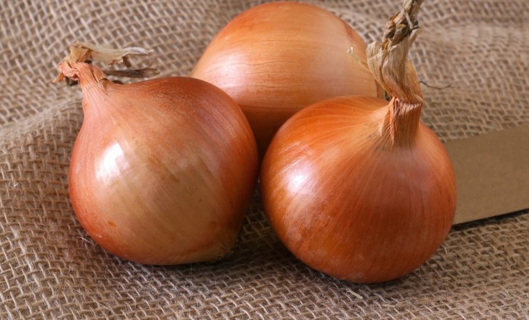 В России снизились цены на лук
