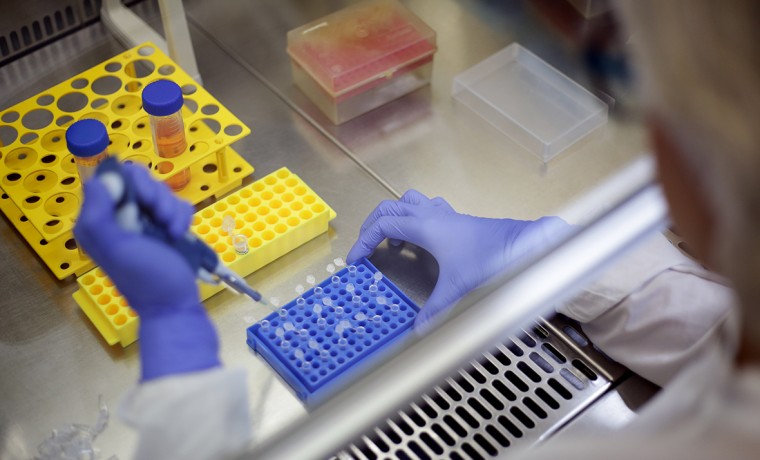 В Чеченской Республике за сутки выявили 59 случаев коронавируса