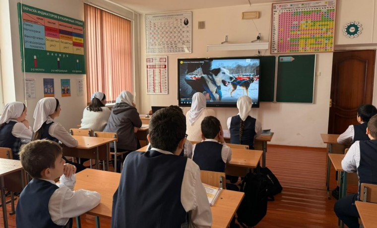 В ЧР участниками Международного фестиваля спортивного кино стали более тысячи школьников
