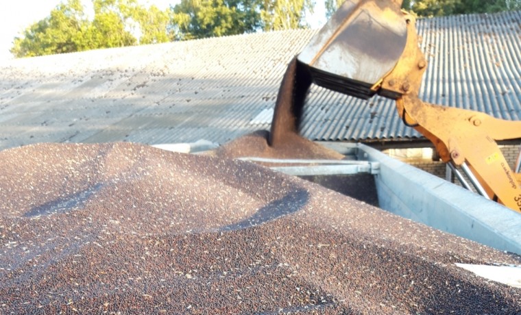 Ячмень объемом 8 тыс. тонн снят с оборота из-за недостоверных лабораторных исследований