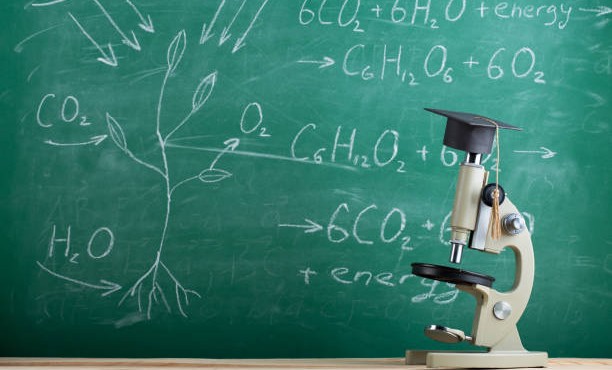 В России растет интерес выпускников школ к естественно-научным дисциплинам