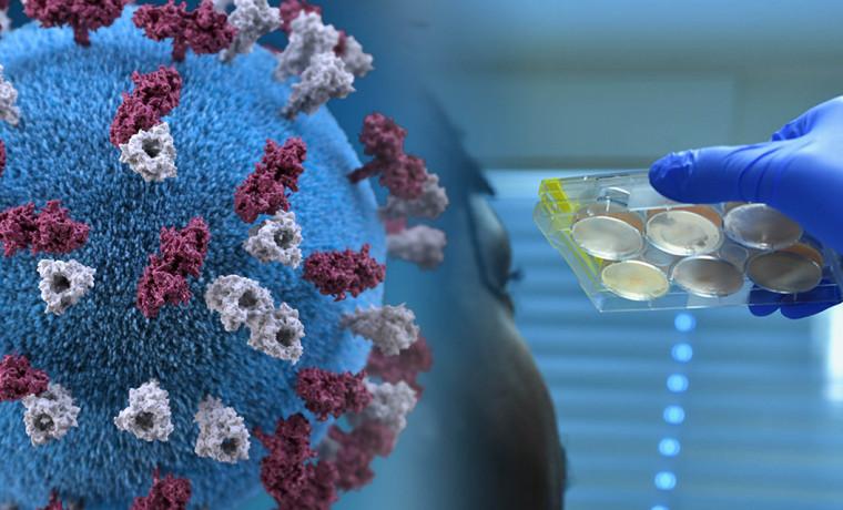 За сутки в России госпитализировали 1282 человека с COVID-19