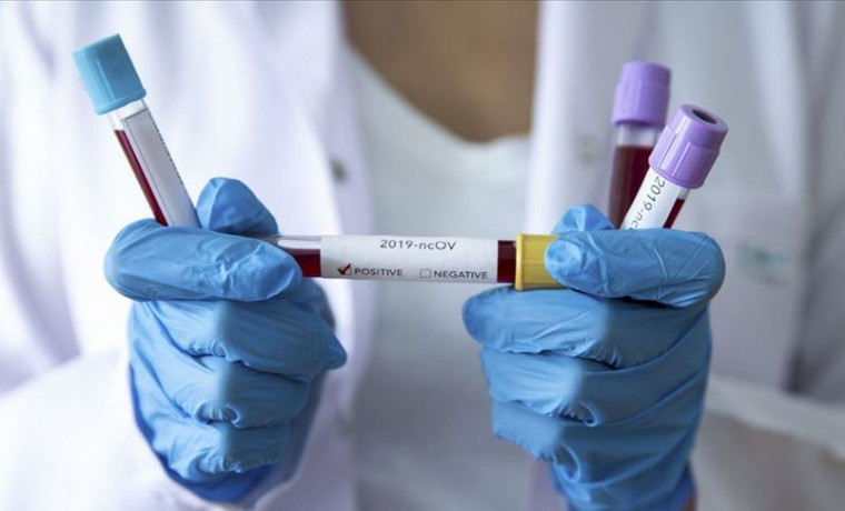 За сутки в России выявили 19 594 заразившихся коронавирусом